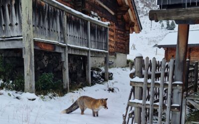 Comment vivez-vous votre stress?