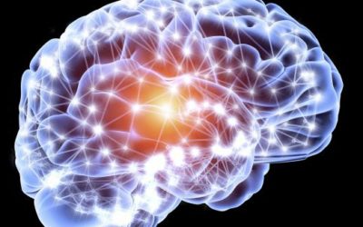 Le cerveau au service de votre gestion du stress