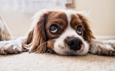 Vous donnez-vous le droit d’être mal?